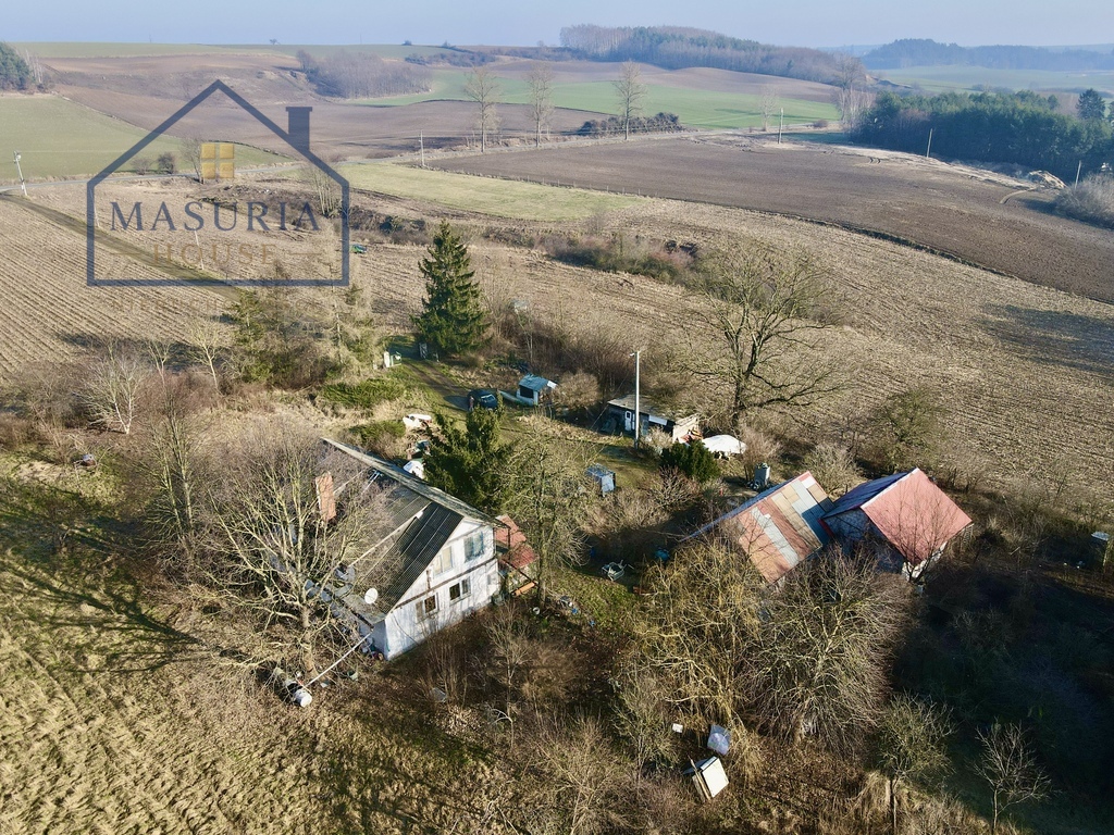 Zdjęcie 12