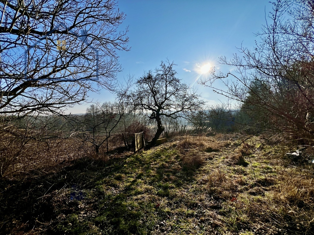 Zdjęcie 15