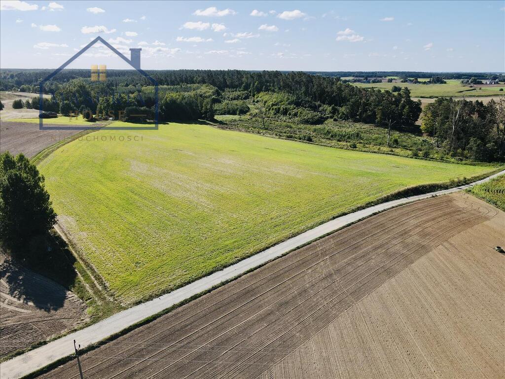 Zdjęcie 4
