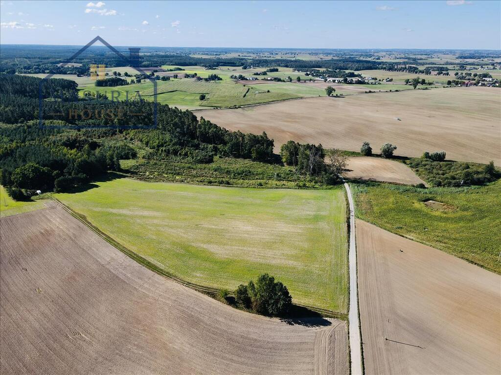 Zdjęcie 6