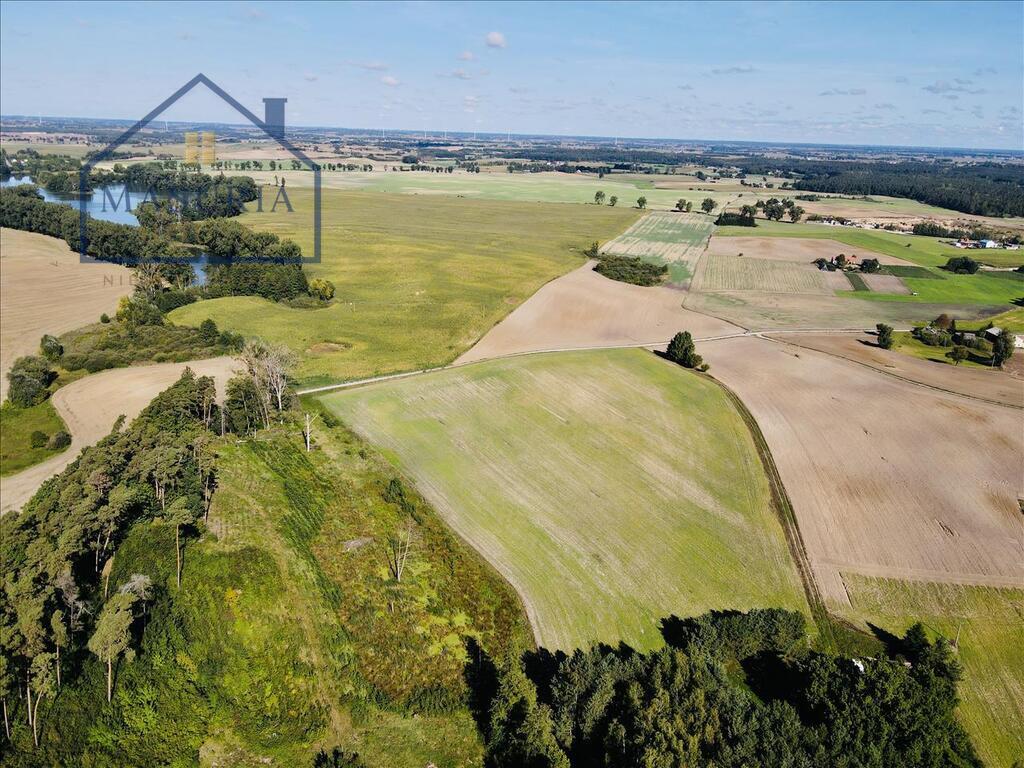 Zdjęcie 10