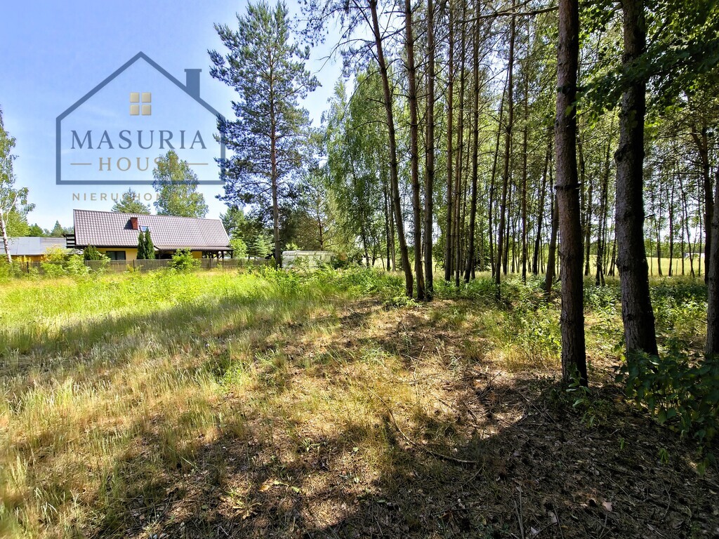 Zdjęcie 8