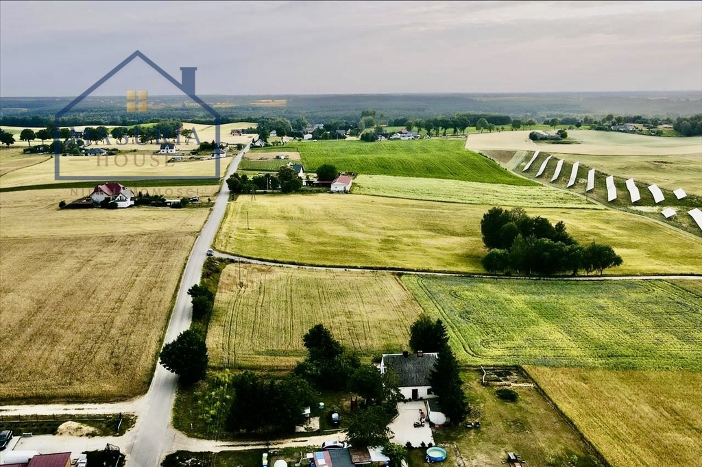 Zdjęcie 6
