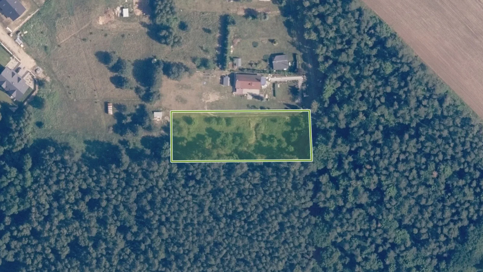 Zdjęcie 2