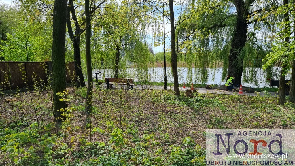 Zdjęcie 12