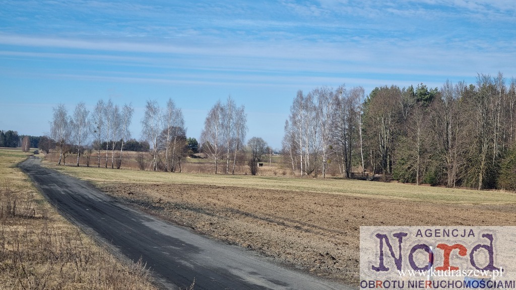 Zdjęcie 13
