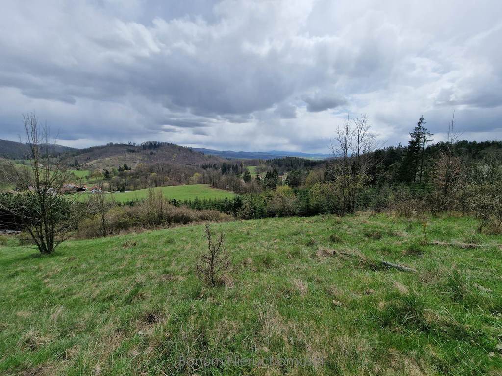 Działka budowlana 7 647 m², Wilcza