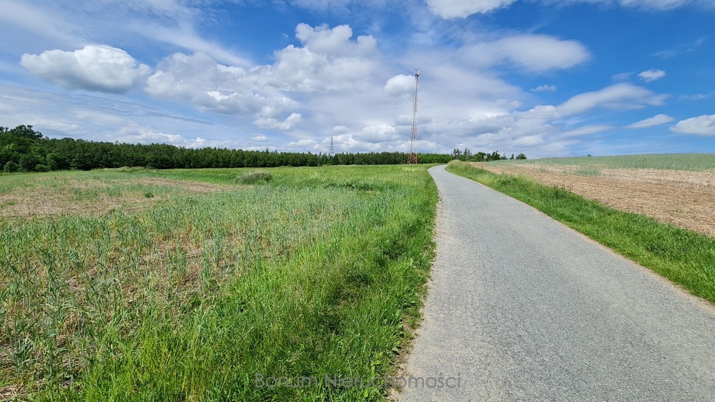 Działka budowlana 1,92 ha, Dębowina