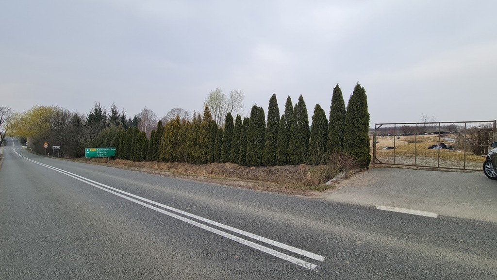 Zdjęcie 9