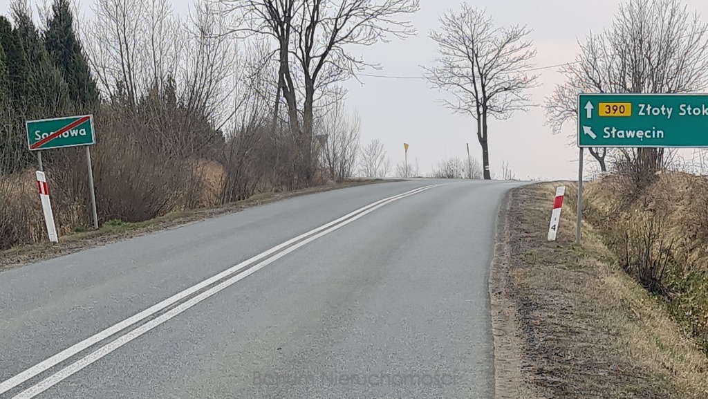 Zdjęcie 10