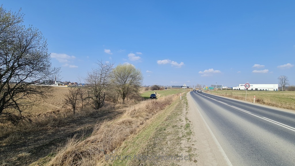 Zdjęcie 4