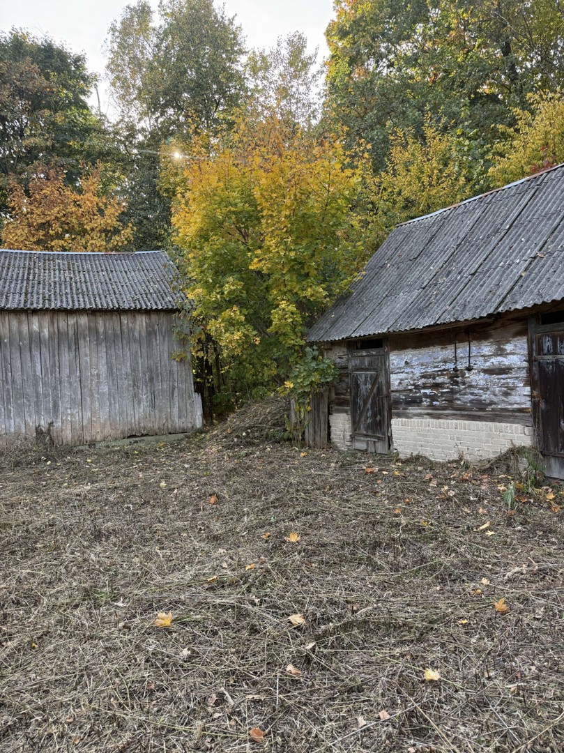 Zdjęcie 11