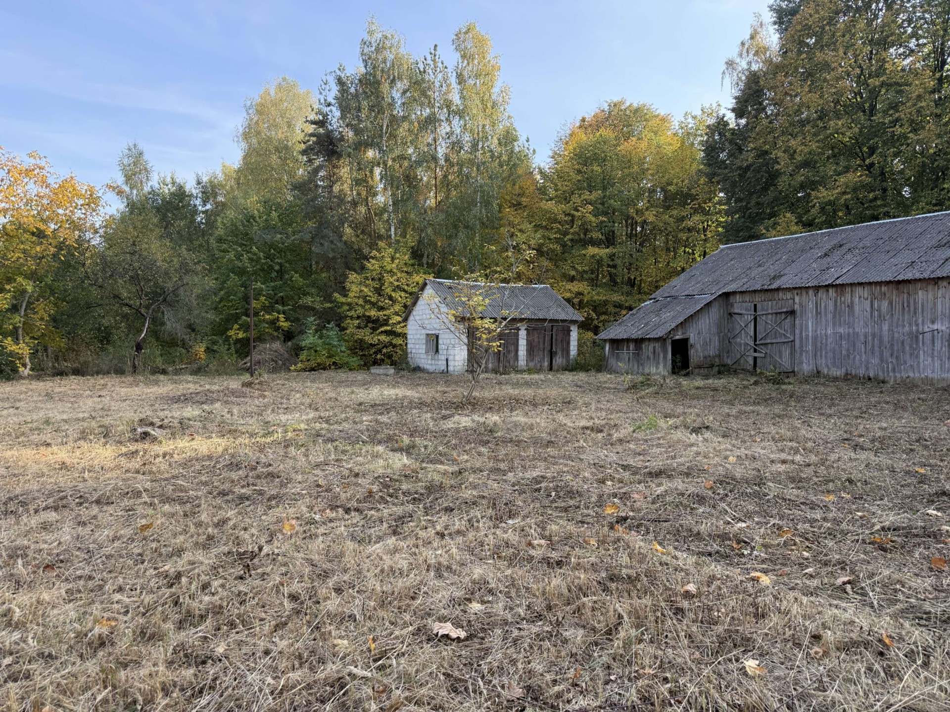 Zdjęcie 12