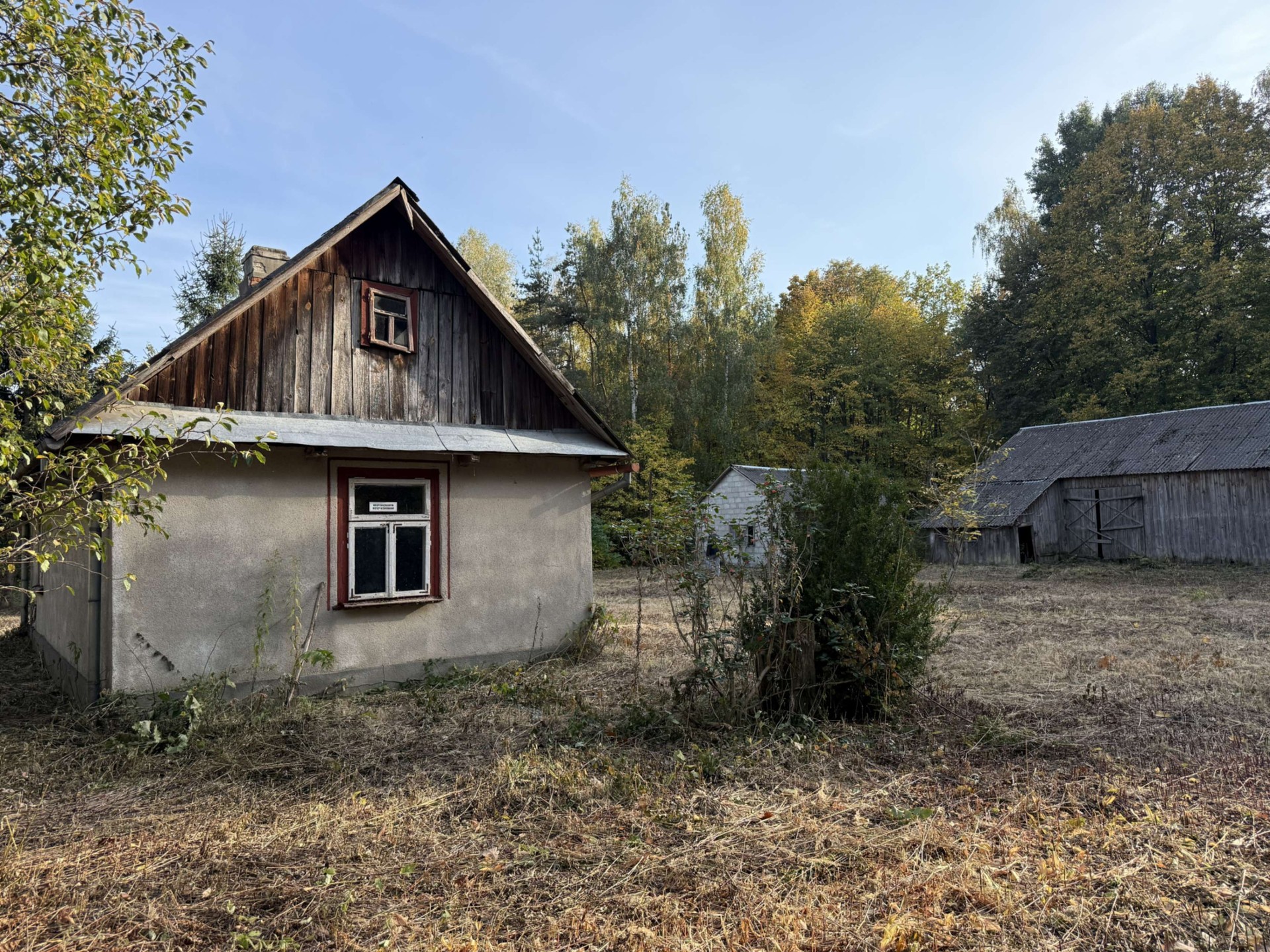 Zdjęcie 14