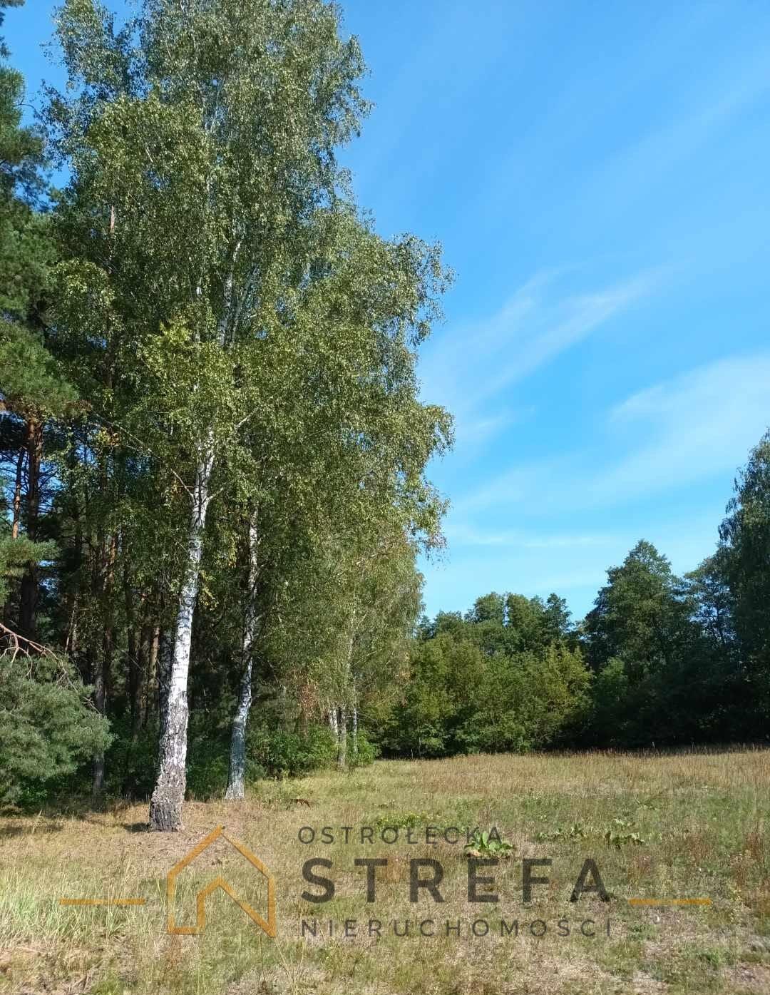 Zdjęcie 3