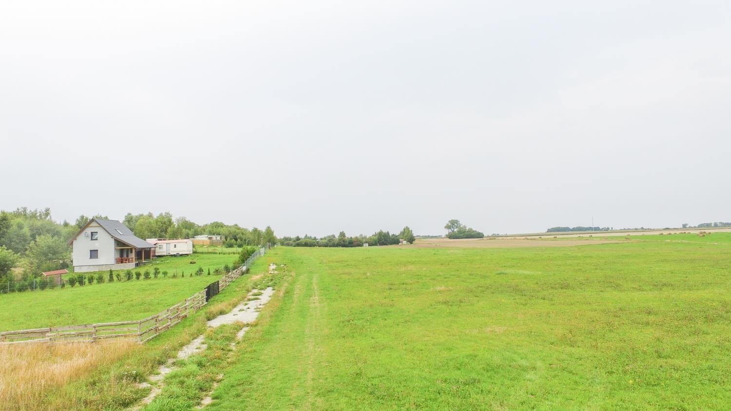 Zdjęcie 10
