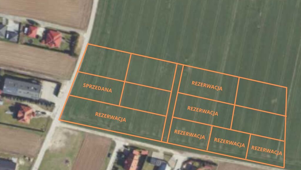 Zdjęcie 2