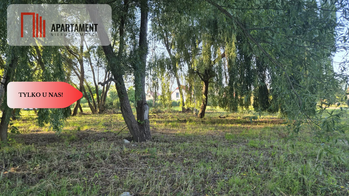 Zdjęcie 13
