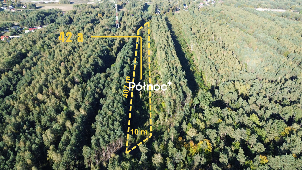 Działka / 42 a / Bogoria