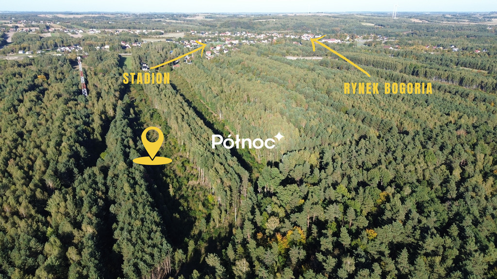 Zdjęcie 2