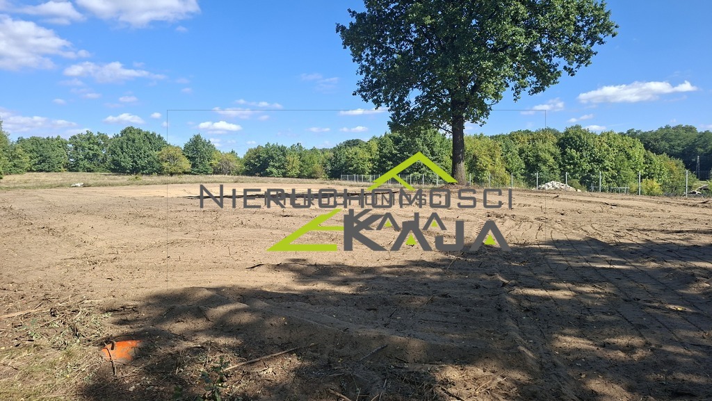 Zdjęcie 2
