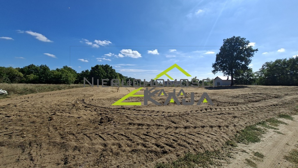 Zdjęcie 13