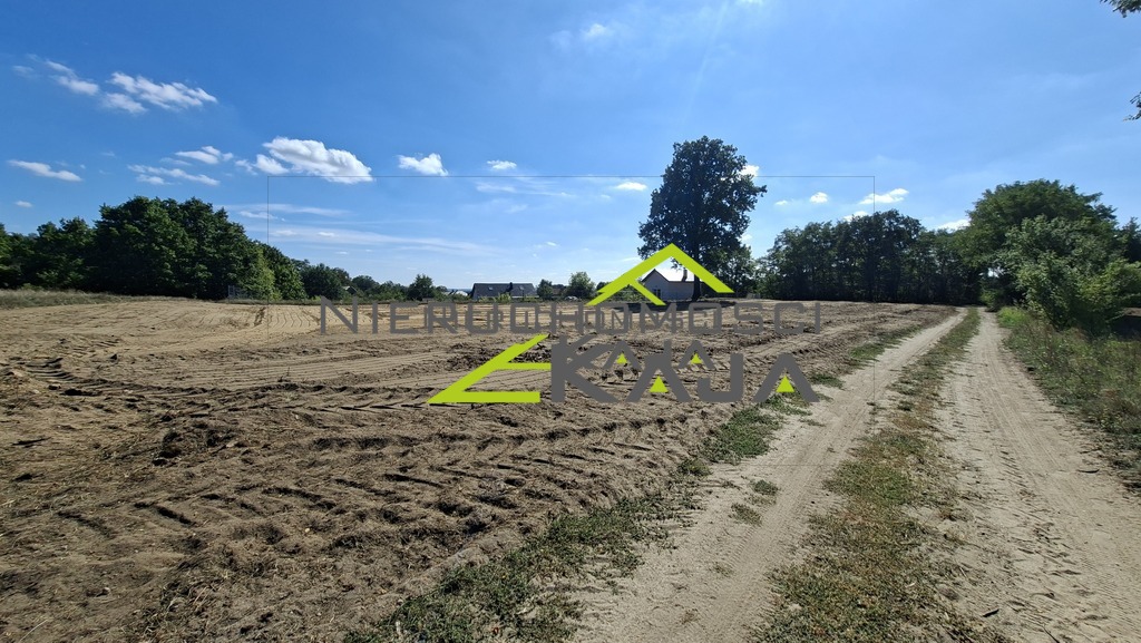 Zdjęcie 15