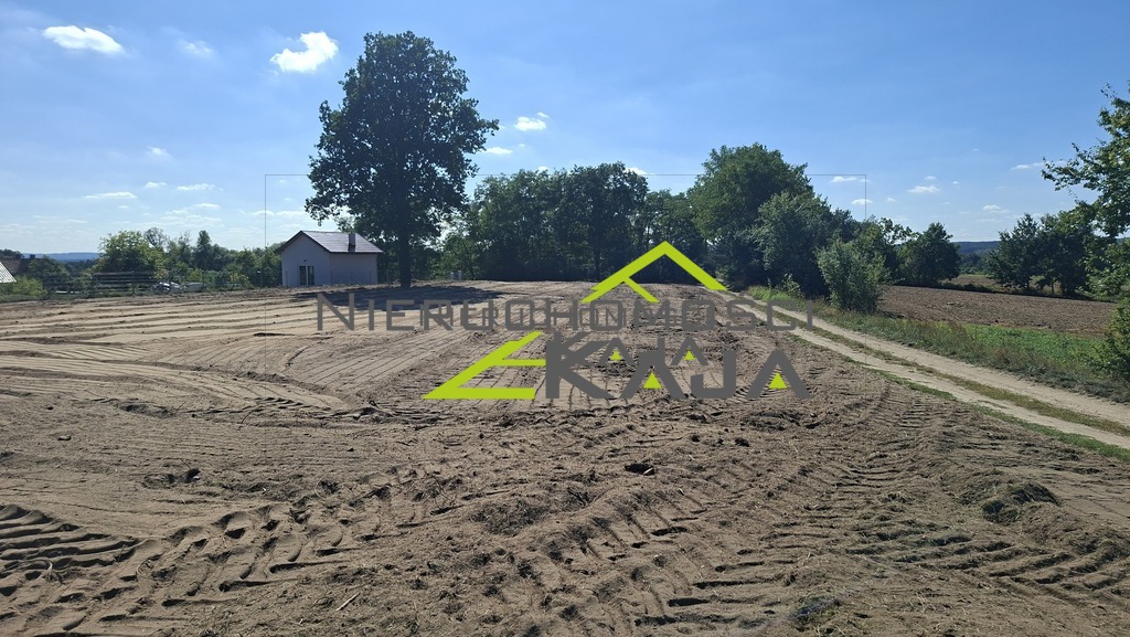 Zdjęcie 17