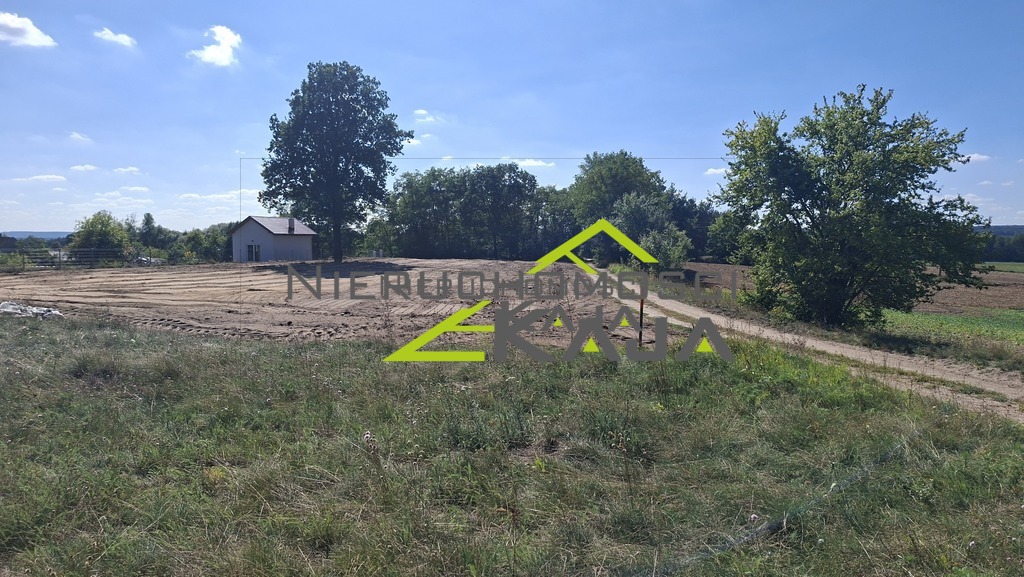 Zdjęcie 18