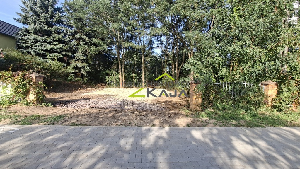 Zdjęcie 6