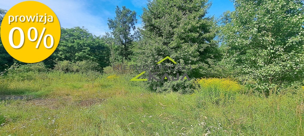 Zdjęcie 12