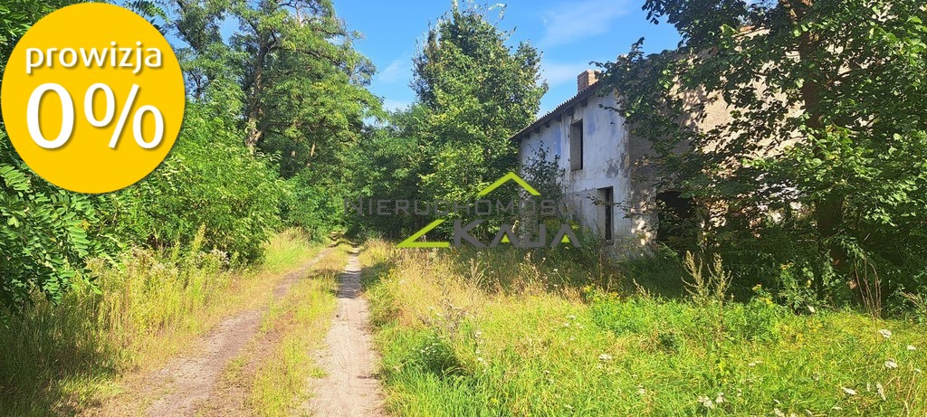 Zdjęcie 20