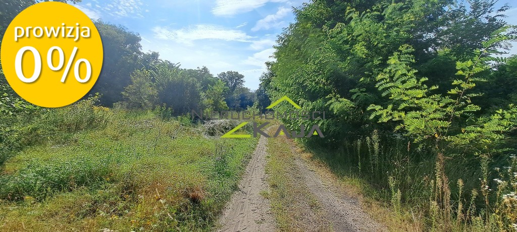 Zdjęcie 21