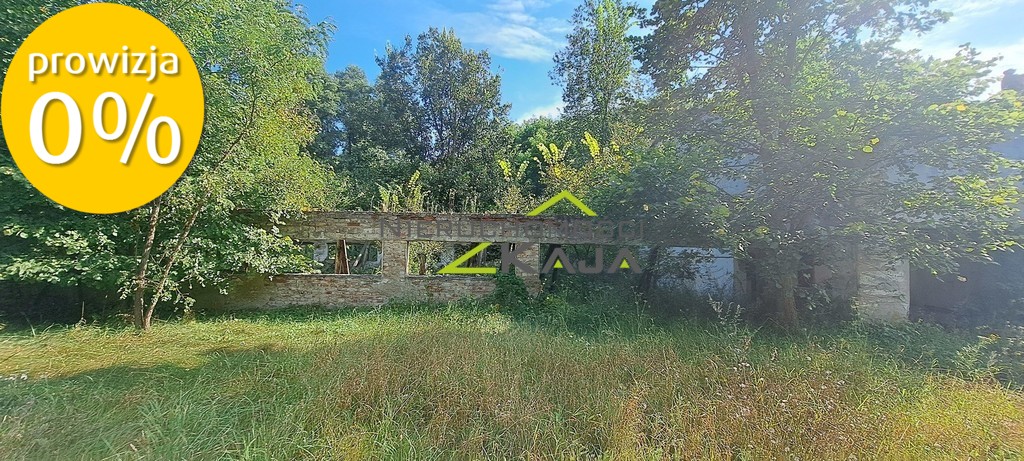 Zdjęcie 22