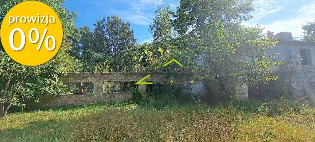 Zdjęcie 23