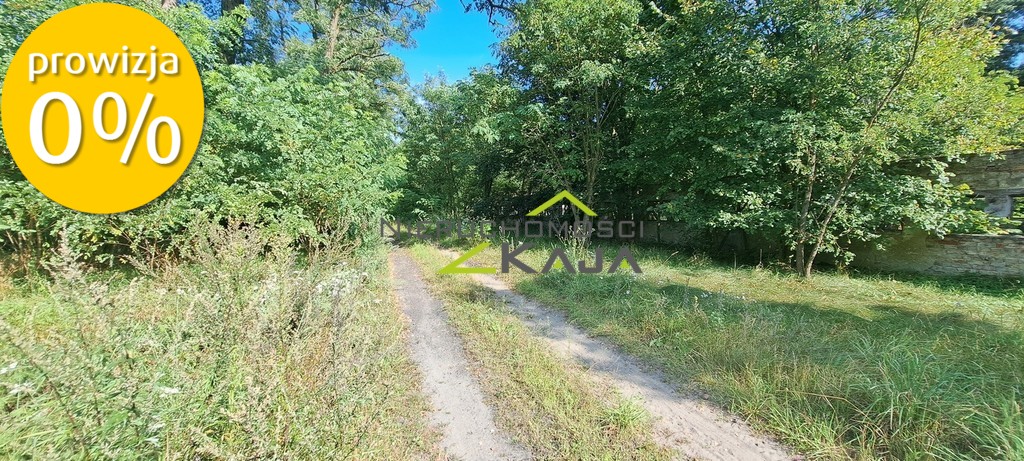 Zdjęcie 25