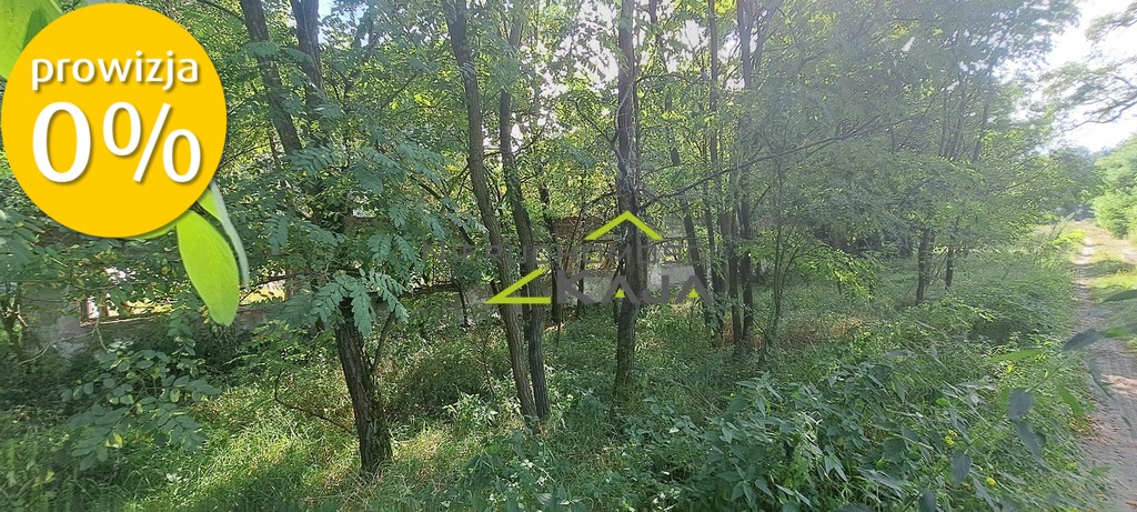 Zdjęcie 26