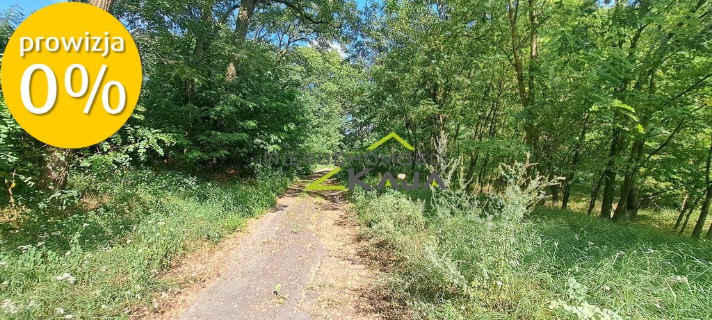 Zdjęcie 27