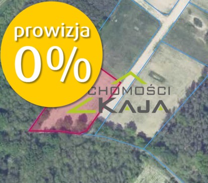Zdjęcie 5
