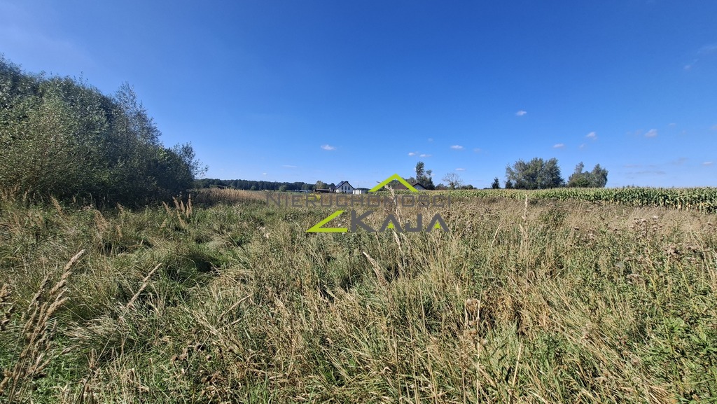 Zdjęcie 10