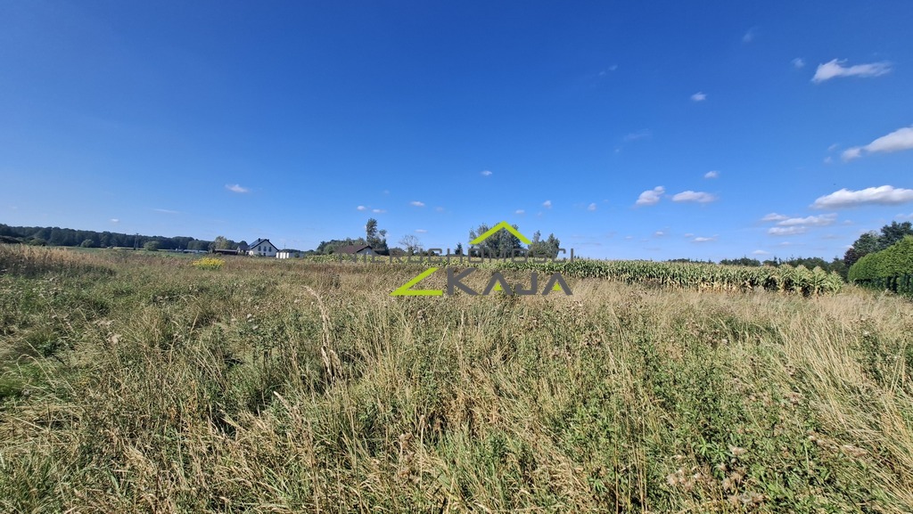 Zdjęcie 11
