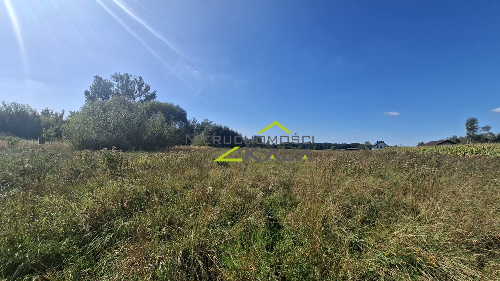 Zdjęcie 12