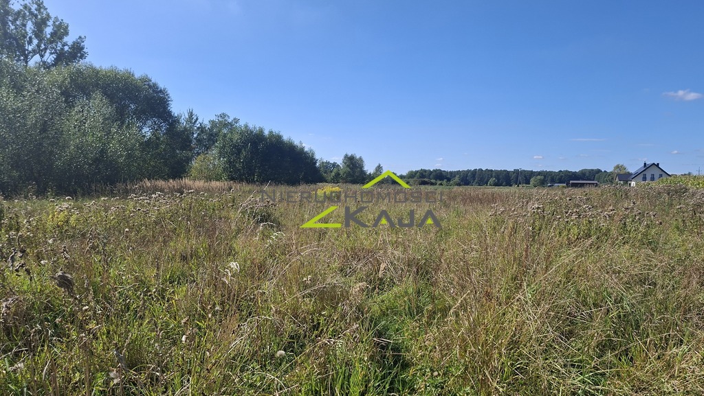 Zdjęcie 13