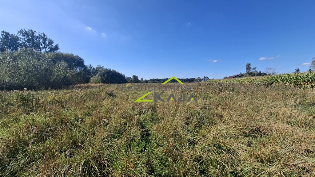 Zdjęcie 14