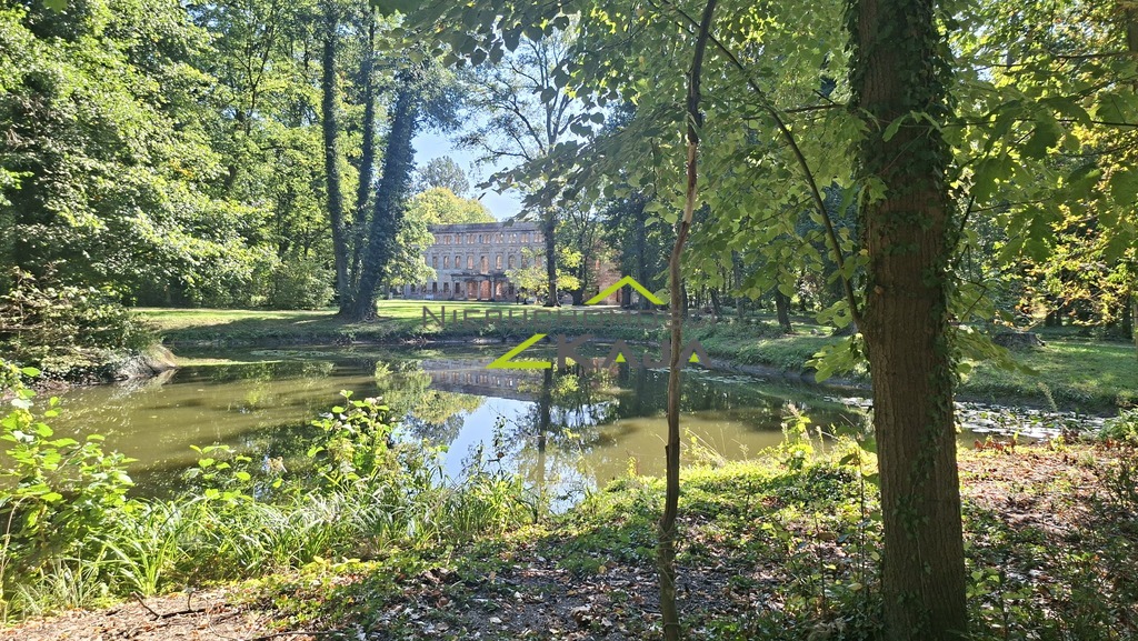 Zdjęcie 15