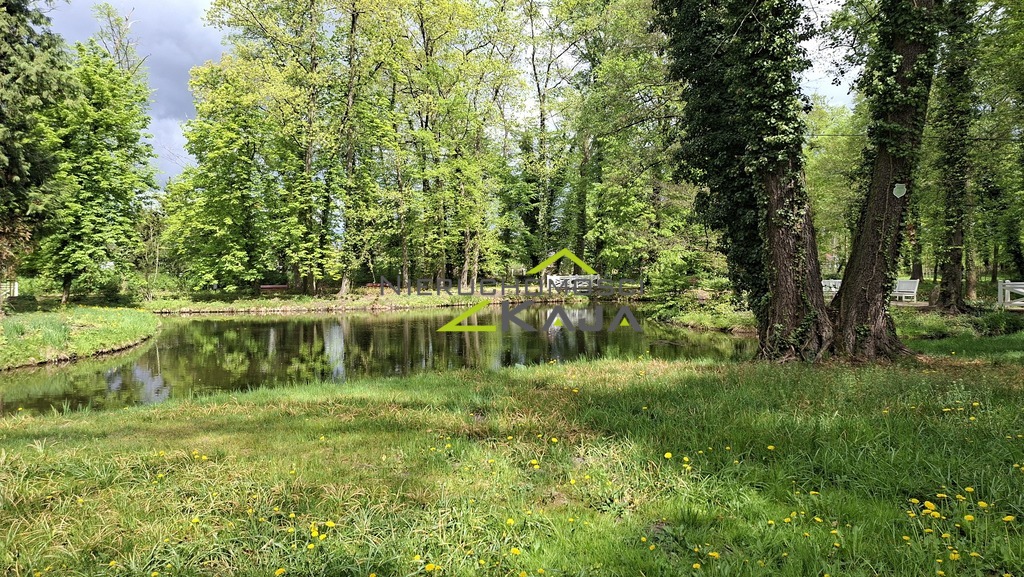 Zdjęcie 16