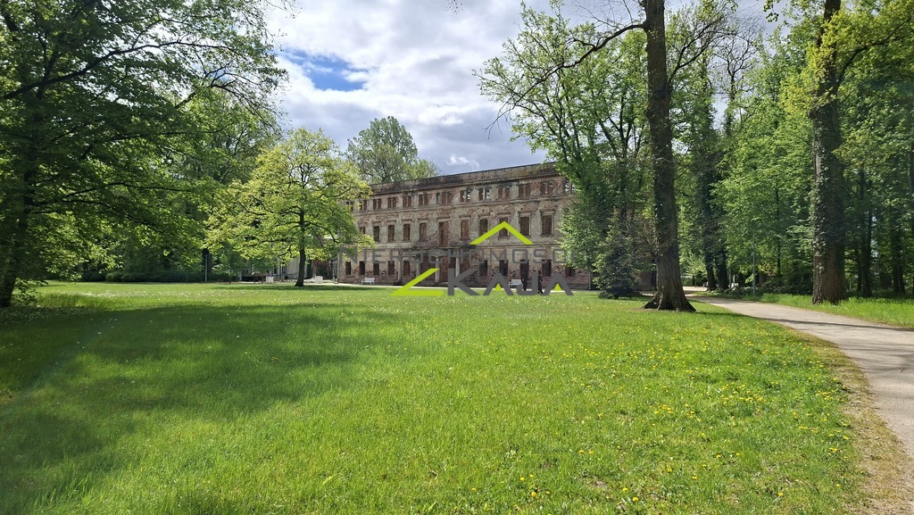 Zdjęcie 17