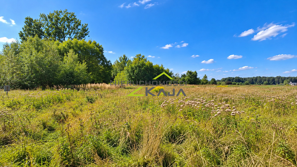 Zdjęcie 19
