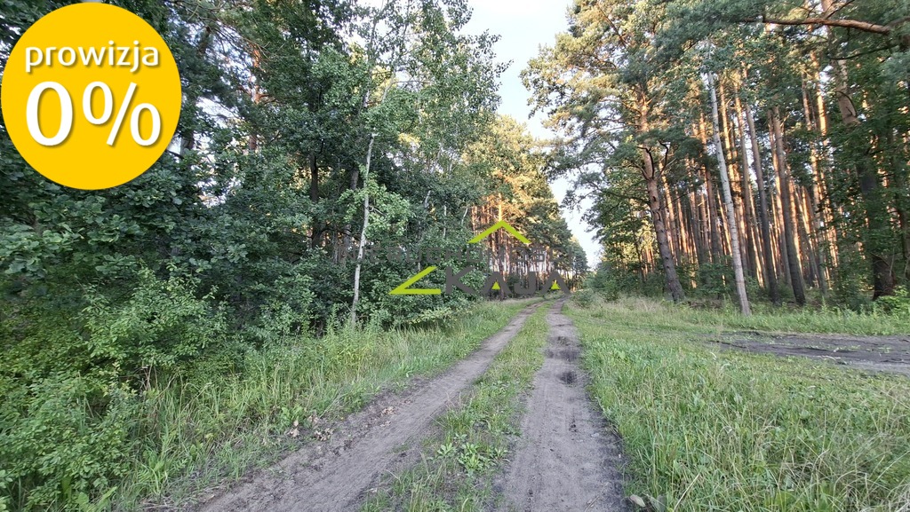 Zdjęcie 4