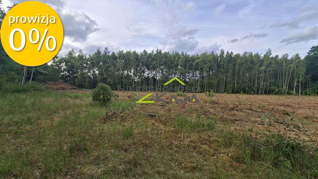 Zdjęcie 15
